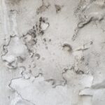 Humedad en el hogar_ Causas y efectos de la capilaridad en las paredes (1)