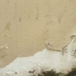Cómo identificar y combatir la humedad en tu hogar (1)