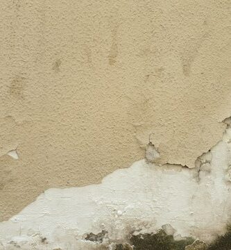 Cómo identificar y combatir la humedad en tu hogar (1)