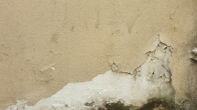 Cómo identificar y combatir la humedad en tu hogar (1)